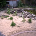 PICT2153.JPG