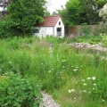 garten-hansen-klein_hintergarten