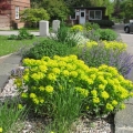 perenne-urnenfriedhof