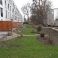 01_Stadtfinken_rueckwaertiger_Garten-