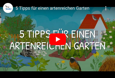 5 Tipps für einen artenreichen Garten